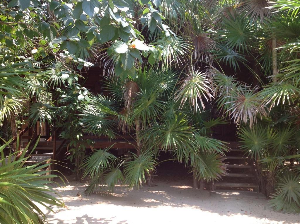 ווסט אנד Half Moon Resort (Adults Only) מראה חיצוני תמונה